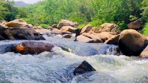 Dòng nước tại suối chảy rất mạnh