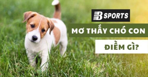 Nằm mơ thấy chó con đang được người chăm sóc