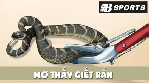 Giải mã giấc mơ thấy rắn bị giết đánh con gì