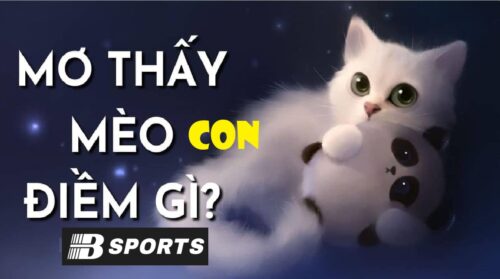 Thấy mèo con ngồi trên vai