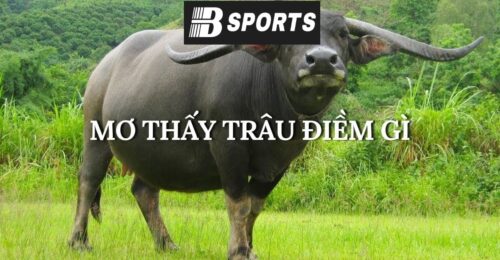 Ngủ mơ thấy trâu đang ăn cỏ