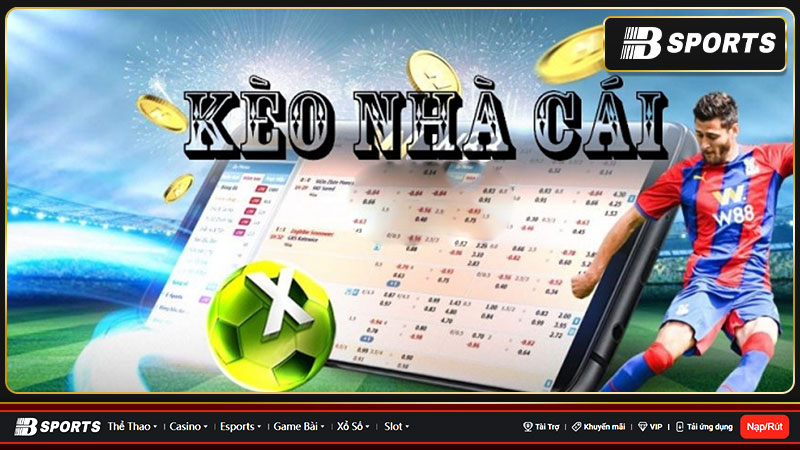 Hướng dẫn đọc tỷ lệ kèo nhà cái trực tuyến