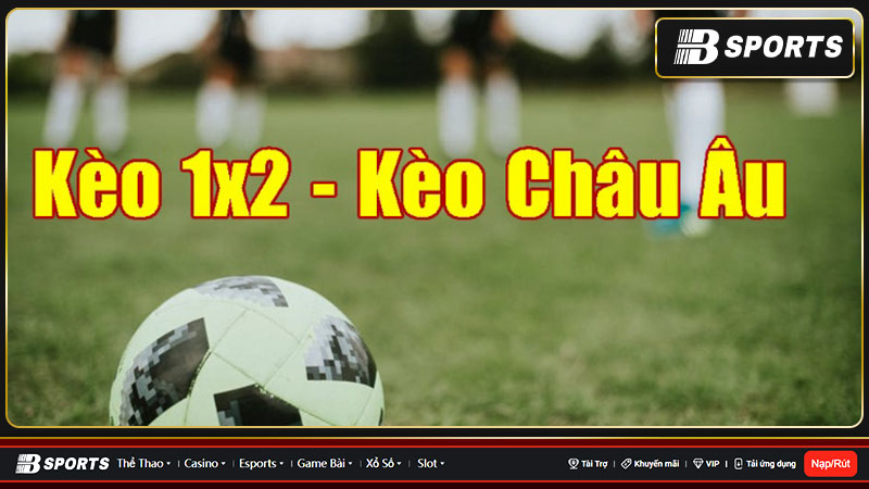 Hướng dẫn đọc kèo châu Âu chuẩn xác nhất 2023