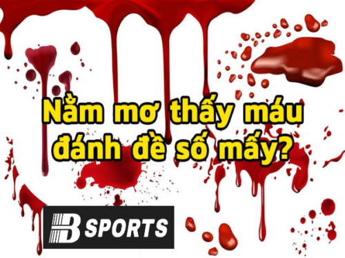 Bạn mơ thấy máu do bị chó cắn hãy đánh số 7.
