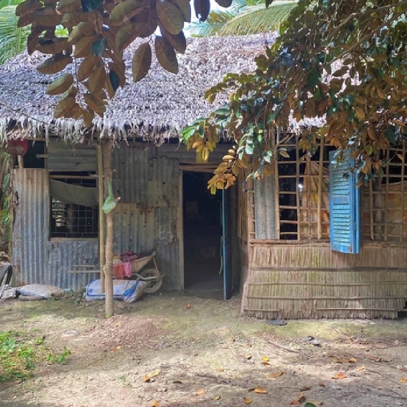 Căn nhà của 5 mẹ con