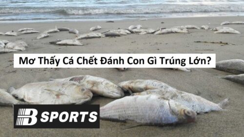 Nằm mơ thấy cá chết trên bờ biển