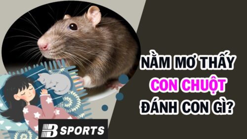 Mơ thấy chuột đánh con gì dễ trúng