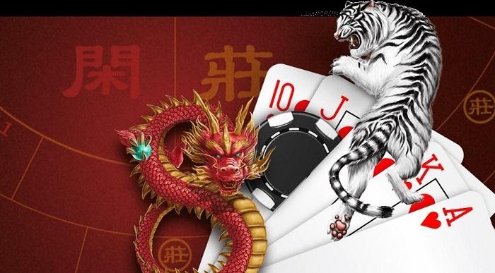 Lời khuyên hữu ích khi chơi Rồng hổ