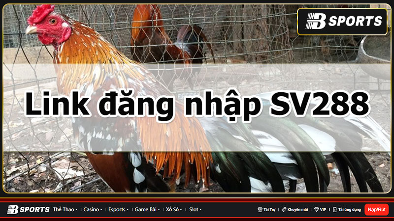 Game Quay hũ siêu hot tại sv288 com
