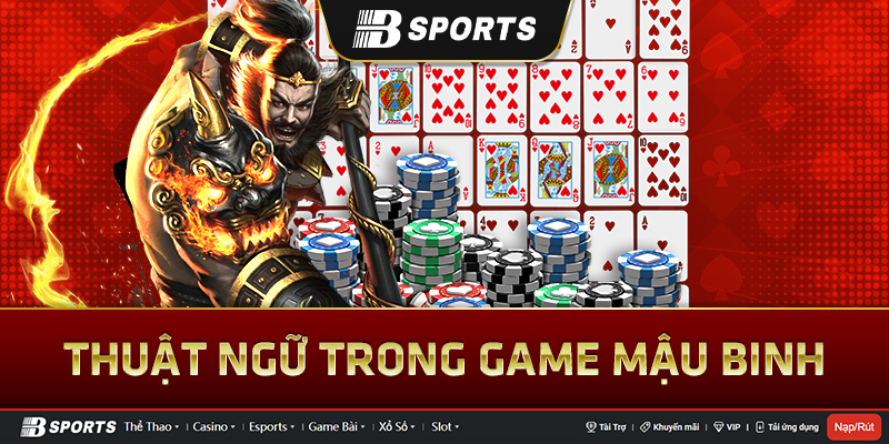 Thuật ngữ có trong cách chơi mậu binh