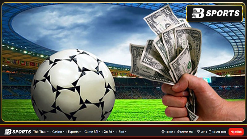 7m Livescore - Cập nhật tỷ số bóng đá nhanh chóng nhất