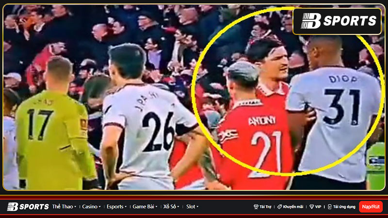 Thái độ của người hâm mộ khi thấy Harry Maguire nổi giận 