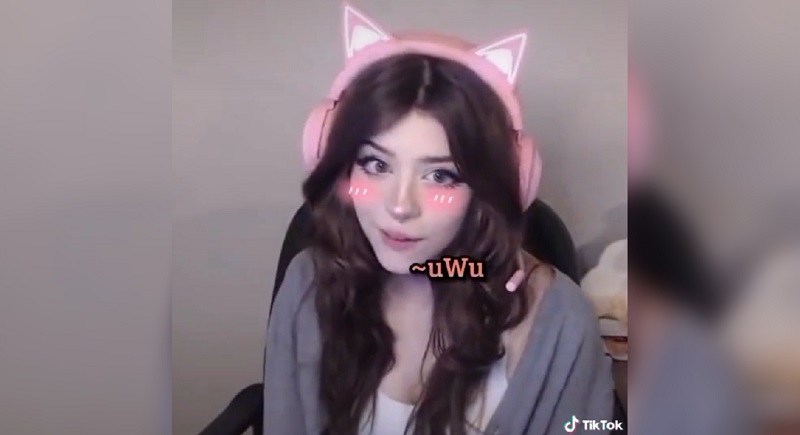 Uwu nổi tiếng và sở hữu lượng người hâm mộ đông đảo