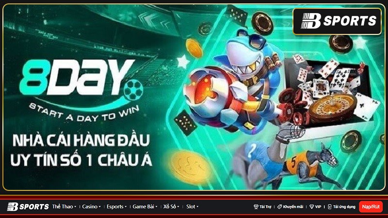 casino 8day