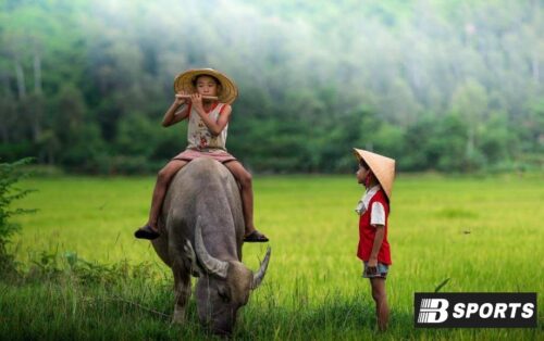Con trâu số mấy, đánh con gì để trúng cả lô lẫn đề