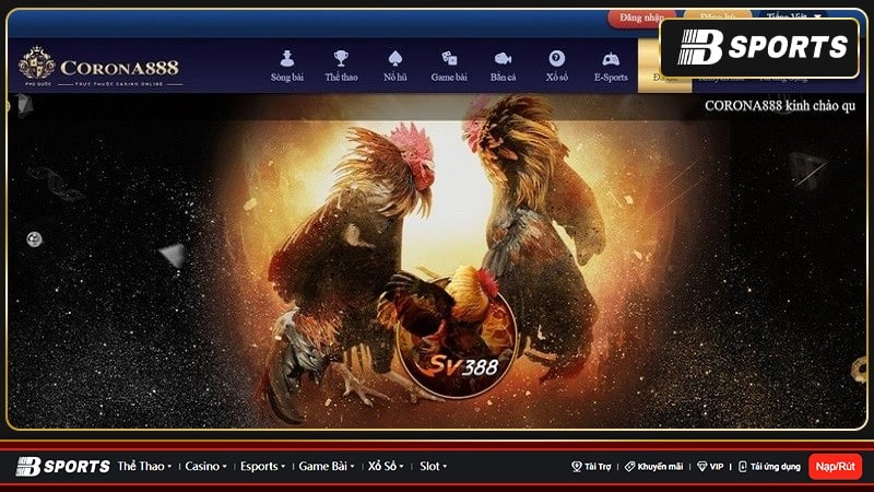 Corona 888 casino sở hữu số lượng sảnh chơi lớn
