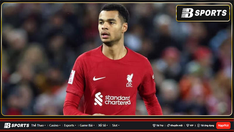 Cody Gakpo góp công lớn cho Hà Lan ở World Cup 2022