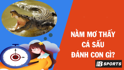 Chiêm bao mơ thấy cá sấu đứt đuôi đánh con gì
