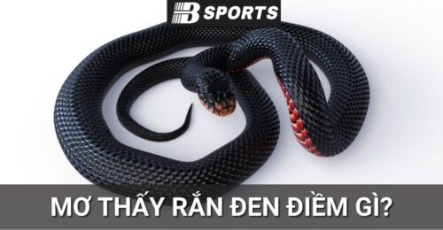 Nằm mơ thấy rắn đen cắn người trên giường