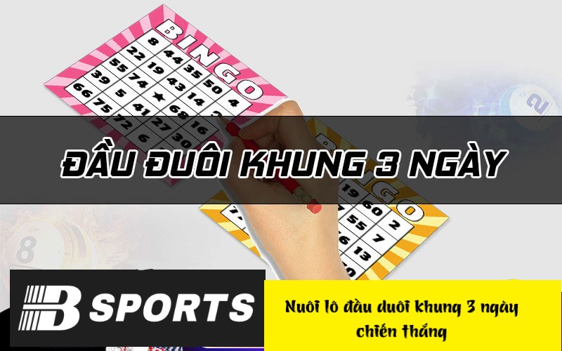 Cách cược nuôi đầu đuôi theo khung 3 ngày hiệu quả
