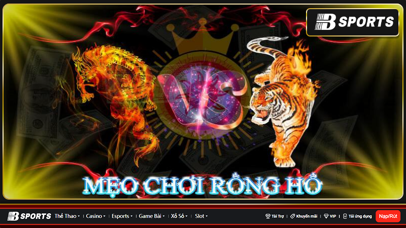 rồng hổ suncity