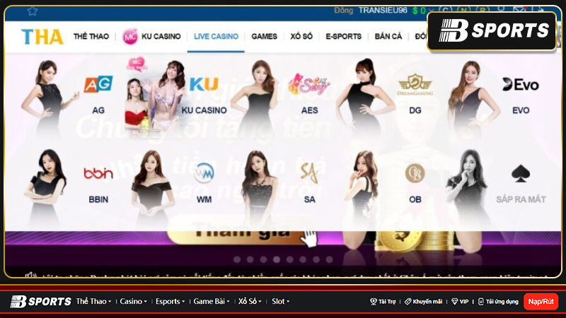 Nhà cái cá cược trực tuyến Thien Ha Casino là gì?
