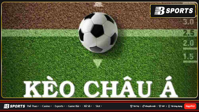 Tỉ lệ kèo 88.com - Tra soát kết quả cá cược bóng đá nhanh