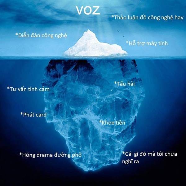 Voz cùng những cụm từ xoay xung quanh