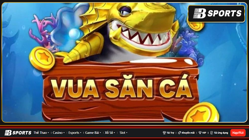 Những thông tin giới thiệu chung về sân chơi vuasanca