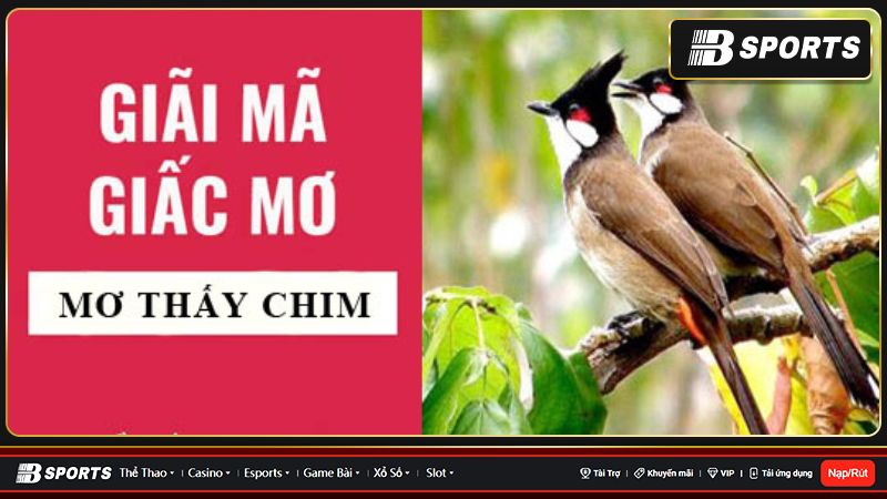 Giải mã nằm mơ thấy chim chính xác nhất