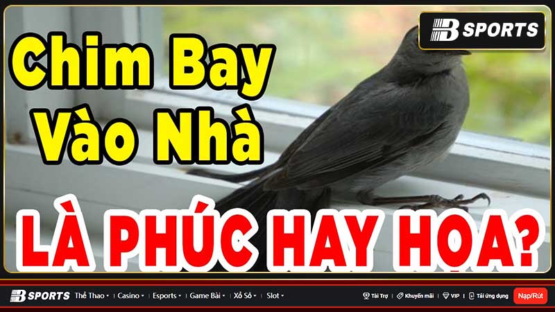 Mơ thấy con chim nhỏ bay vào nhà